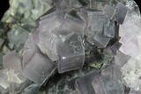 Cluster Of Cubic, Purple Fluorite Crystals - China #87002-3